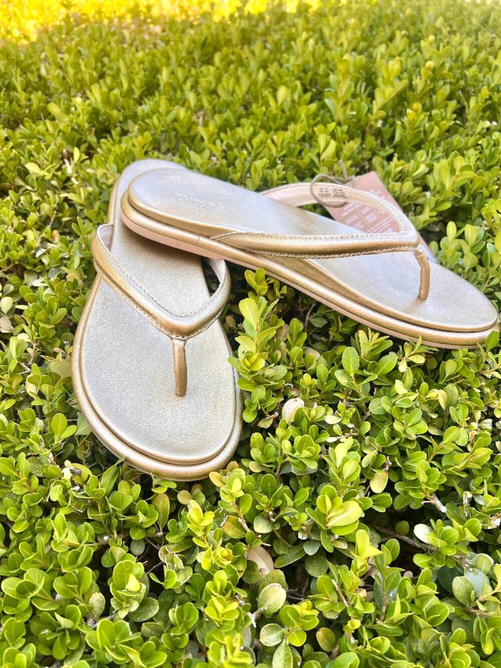 NWT - Olukai Tiare Sandals - Bubbly - Gold - Size 9 - Flip Flops